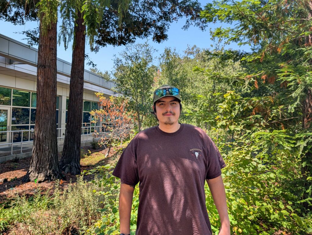 Man under a tree