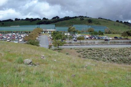 Un montículo de hierba frente a un estacionamiento en San José, California.