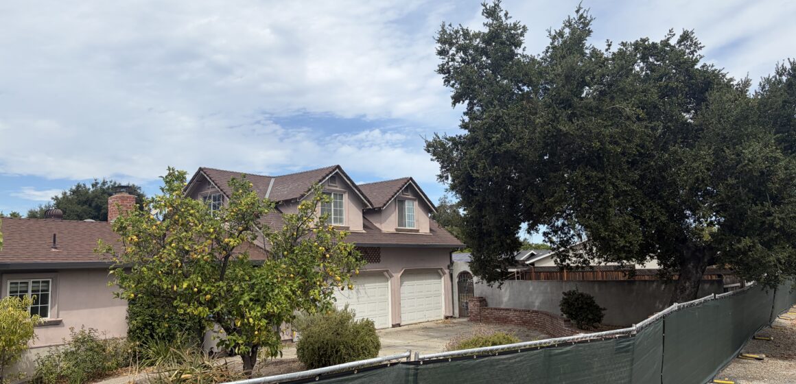 A house and a tree behind a green fence.