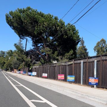 Cupertino campaign signs Campaign signs for a local election line a fence along a road in Cupertino, California