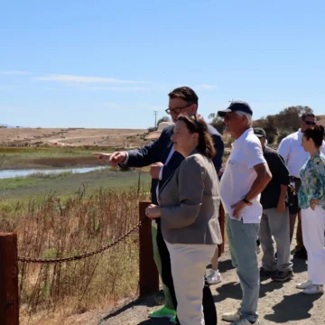 Palo Alto Baylands levee Embarcadero People looking out at a levee in Palo Alto, California