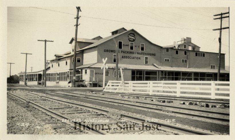201926117 Fact Brief: Did Sunsweet Growers start in Santa Clara Valley?