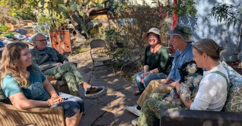 People sitting in a garden