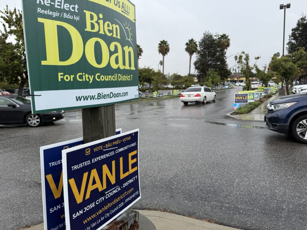 Campaign signs line a roadway in a strip mall
