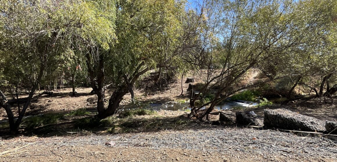 Beall: Preparing our creeks for an El Niño winter
