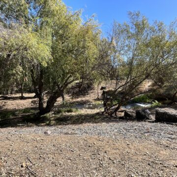 Alamitos at Greystone_After Beall: Preparing our creeks for an El Niño winter