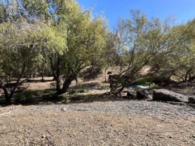 Alamitos at Greystone_After Beall: Preparing our creeks for an El Niño winter
