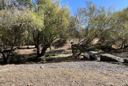 Beall: Preparing our creeks for an El Niño winter